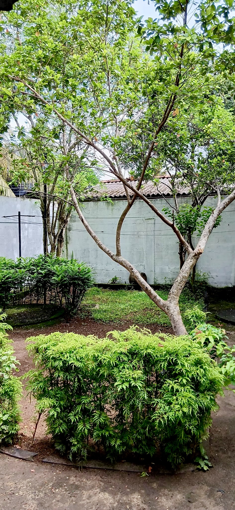 VILLA-TYPE HOUSE FOR SALE IN WELIGAMA – WALKING DISTANCE TO THE BEACH!
