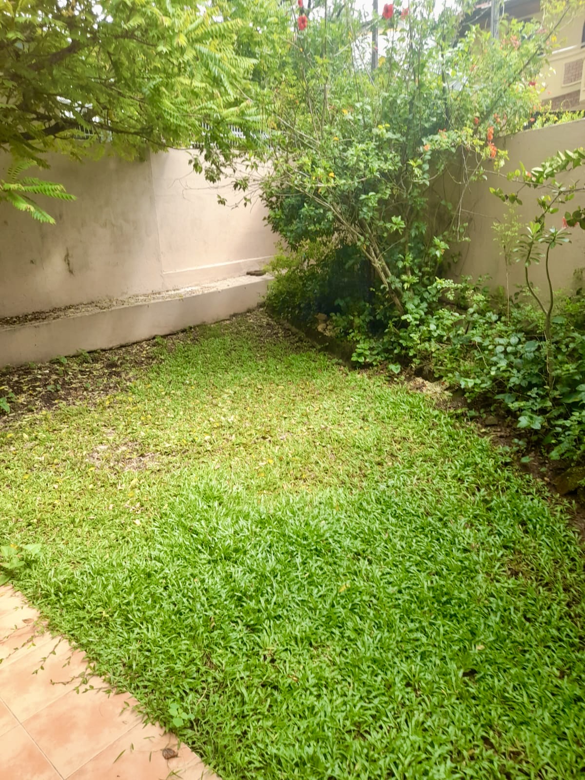 💠𝗨𝗥𝗚𝗘𝗡𝗧 𝗦𝗔𝗟𝗘 | 𝗣𝗥𝗜𝗠𝗘 𝗡𝗨𝗚𝗘𝗚𝗢𝗗𝗔 11.6-𝗣𝗘𝗥𝗖𝗛 𝗣𝗥𝗢𝗣𝗘𝗥𝗧𝗬 𝗢𝗙𝗙𝗘𝗥𝗘𝗗 𝗕𝗘𝗟𝗢𝗪 𝗟𝗔𝗡𝗗 𝗩𝗔𝗟𝗨𝗘
