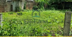 🌿 𝐏𝐑𝐄𝐌𝐈𝐔𝐌 𝐋𝐀𝐍𝐃 𝐎𝐏𝐏𝐎𝐑𝐓𝐔𝐍𝐈𝐓𝐘 – 𝐍𝐄𝐃𝐈𝐌𝐀𝐋𝐀, 𝐃𝐄𝐇𝐈𝐖𝐀𝐋𝐀 🌿