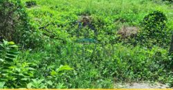 🌿 𝐏𝐑𝐄𝐌𝐈𝐔𝐌 𝐋𝐀𝐍𝐃 𝐎𝐏𝐏𝐎𝐑𝐓𝐔𝐍𝐈𝐓𝐘 – 𝐍𝐄𝐃𝐈𝐌𝐀𝐋𝐀, 𝐃𝐄𝐇𝐈𝐖𝐀𝐋𝐀 🌿
