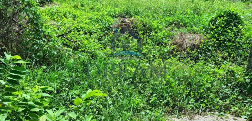 🌿 𝐏𝐑𝐄𝐌𝐈𝐔𝐌 𝐋𝐀𝐍𝐃 𝐎𝐏𝐏𝐎𝐑𝐓𝐔𝐍𝐈𝐓𝐘 – 𝐍𝐄𝐃𝐈𝐌𝐀𝐋𝐀, 𝐃𝐄𝐇𝐈𝐖𝐀𝐋𝐀 🌿