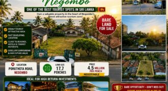 🌴𝐏𝐑𝐈𝐌𝐄 𝐈𝐍𝐕𝐄𝐒𝐓𝐌𝐄𝐍𝐓 𝐎𝐏𝐏𝐎𝐑𝐓𝐔𝐍𝐈𝐓𝐘 – 𝐏𝐎𝐑𝐔𝐓𝐇𝐎𝐓𝐀 𝐑𝐎𝐀𝐃, 𝐍𝐄𝐆𝐎𝐌𝐁𝐎 🌴